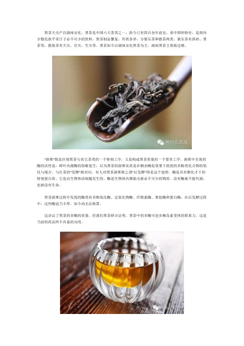 男人越喝越有力量 黑茶天尖补肾效果好