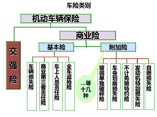 机动车辆保险-车险类别-交强险