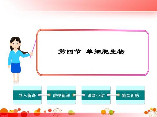 【人教版七年级生物上册】第二单元  第二章  细胞怎样构成生物体 第四节  单细胞生物 精品课件