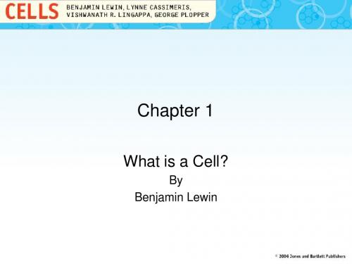 Chap 1.ppt