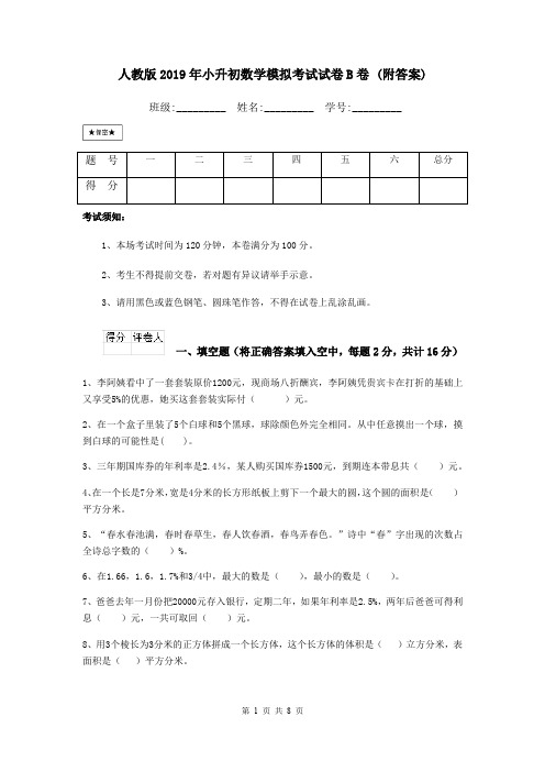 人教版2019年小升初数学模拟考试试卷B卷 (附答案)