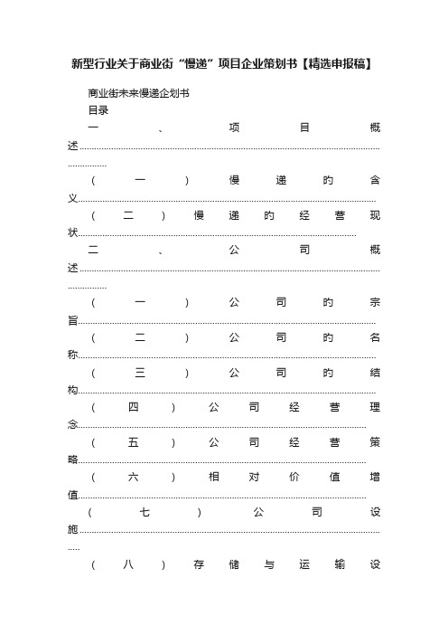 新型行业关于商业街“慢递”项目企业策划书【精选申报稿】