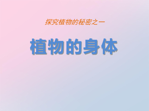 2021年《植物的身体》植物生活的秘密PPT课件文档
