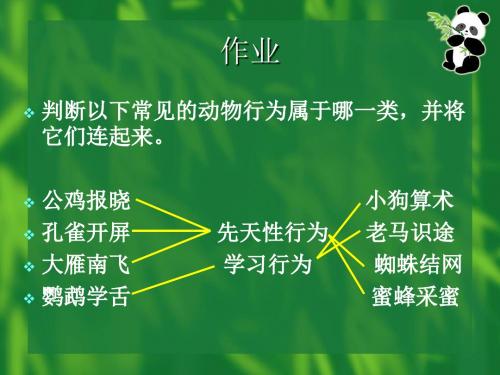 八年级生物上册《第五单元第二章第三节《社会行为》教学课件 (共23张PPT)