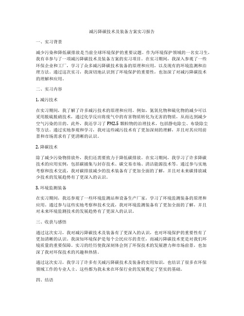 减污降碳技术及装备方案实习报告