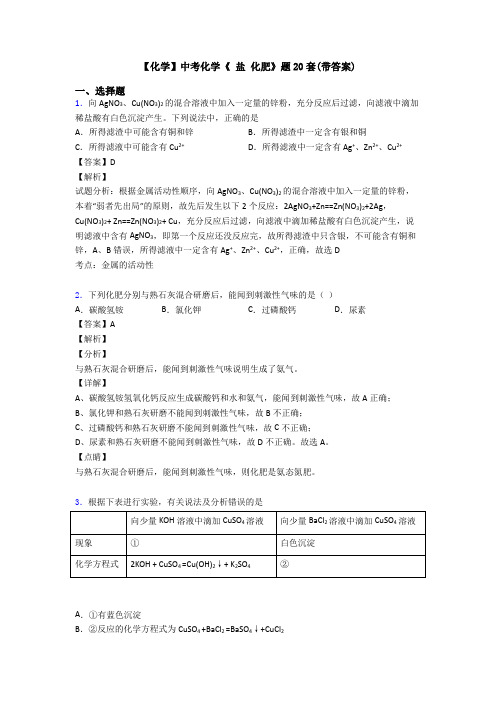 【化学】中考化学《 盐 化肥》题20套(带答案)