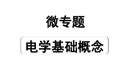 2024河北中考物理二轮复习 微专题 电学基础概念(课件)