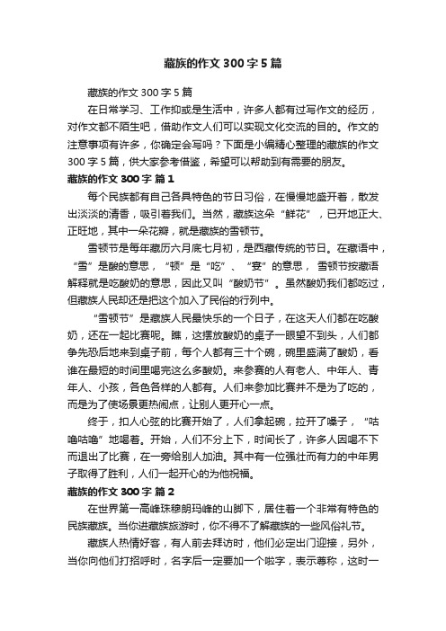 藏族的作文300字5篇