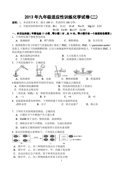 2013年九年级适应性训练化学试卷(二)