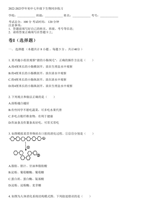 2022-2023学年冀少版七年级下生物同步练习(含解析)