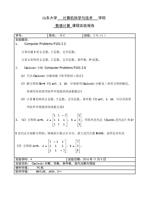 山东大学数值计算实验报告2