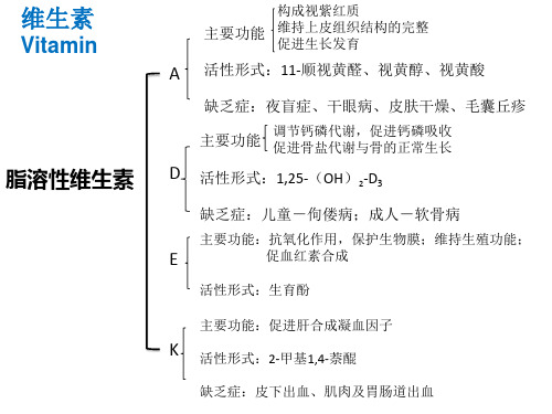 生物化学：小结：维生素