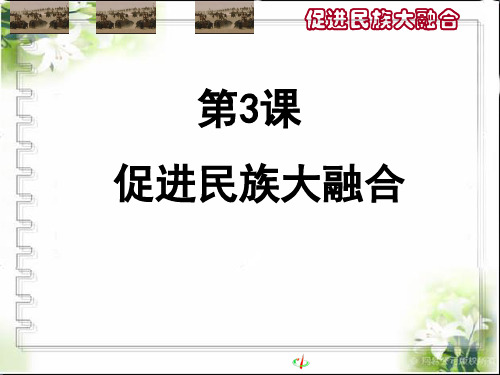 人教版高中历史选修1-历史上重大改革回眸：第3课  促进民族大融合