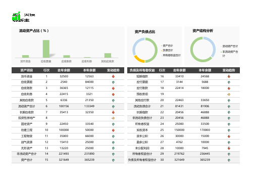 资产负债分析表模板