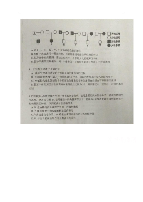 吉林省实验中学高三第八次月考(第四次模拟)理科综合生