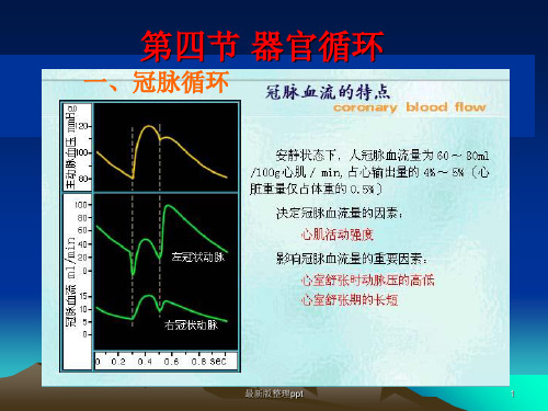 循环生理-器官循环ppt课件