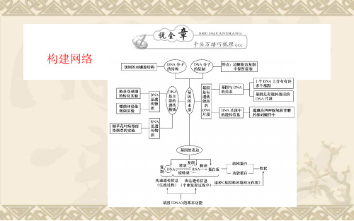 【师说 高中全程复习构想】高考生物一轮复习(说基础+说考点+说案列+说实验+说习题)单元整合3新人教版