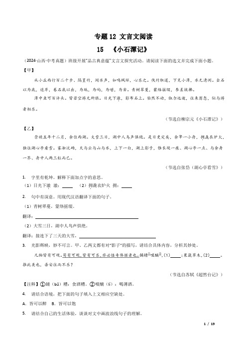 2025年中考语文总复习三年中考真题分类复习专题12文言文阅读15 《小石潭记》