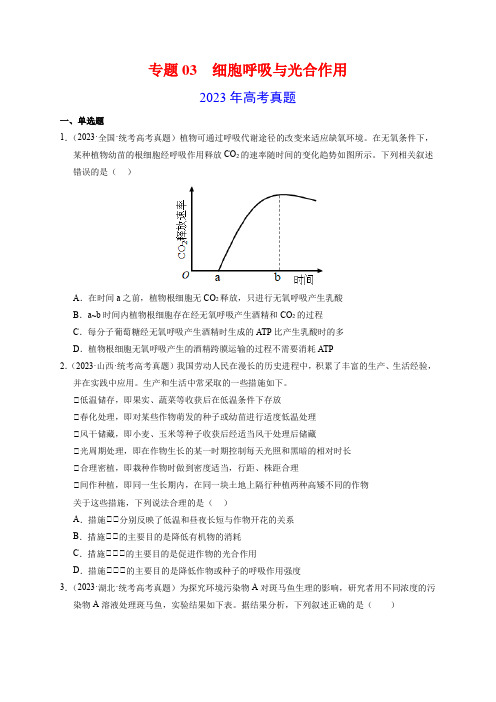 专题03细胞呼吸与光合作用-2023年高考真题和模拟题生物分项汇编(全国通用)(学生版)