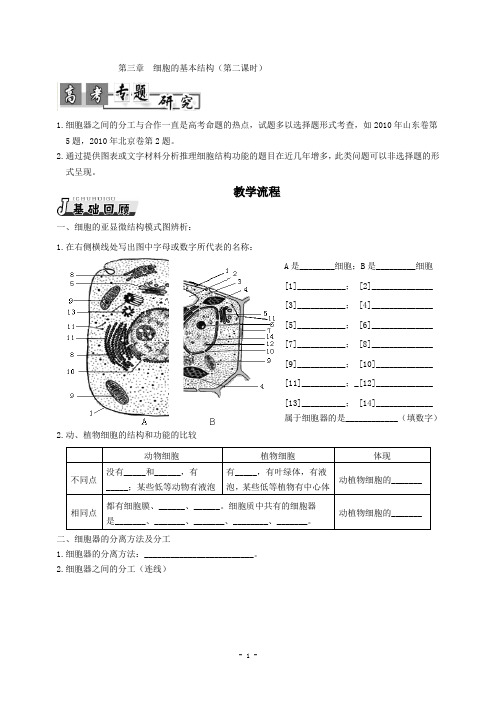 细胞器-系统内的分工合作