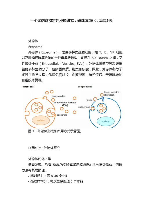 一个试剂盒搞定外泌体研究：磁珠法纯化，流式分析