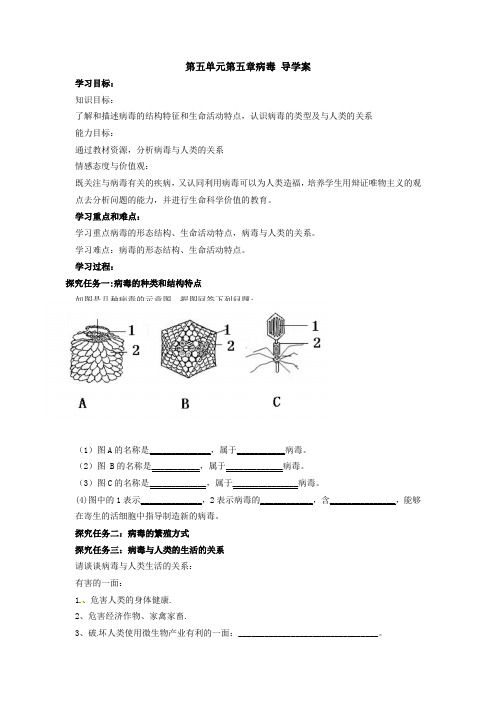 第五单元第五章病毒 导学案   人教版生物八年级上册   