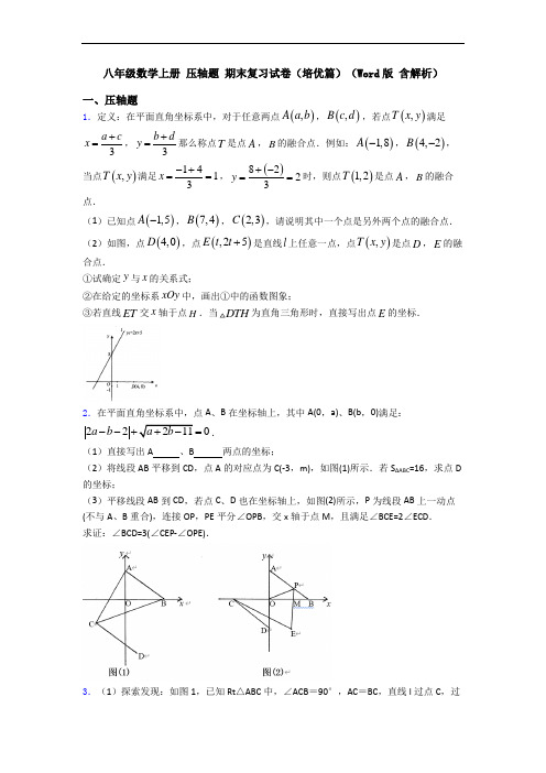 八年级数学上册 压轴题 期末复习试卷(培优篇)(Word版 含解析)