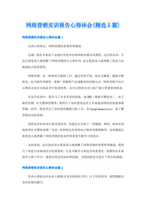 网络营销实训报告心得体会(精选5篇)