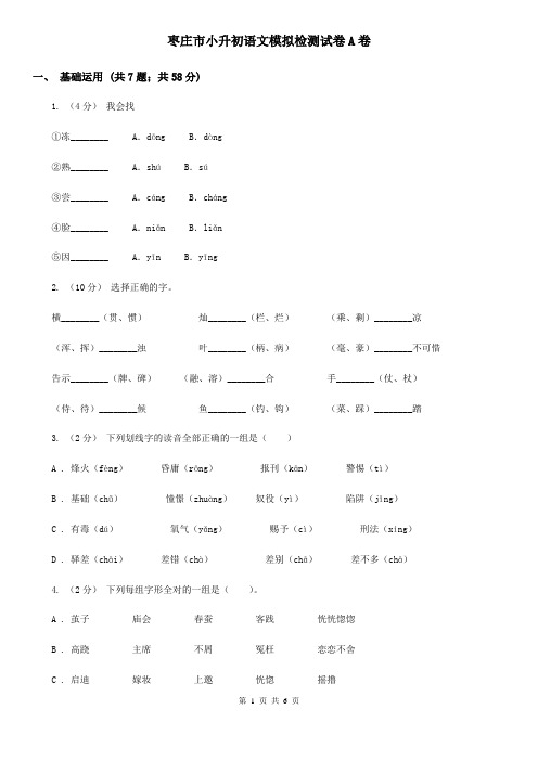 枣庄市小升初语文模拟检测试卷A卷