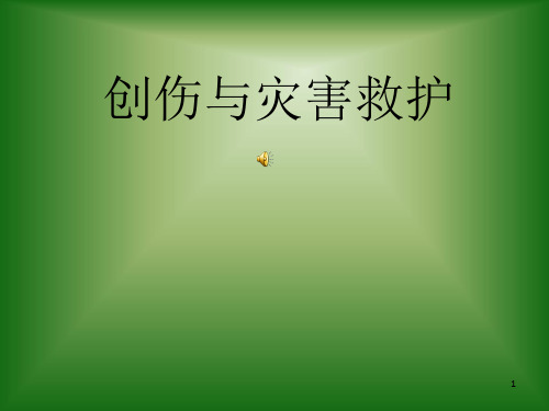 灾害与救护PPT