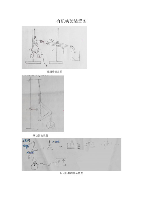 有机实验装置图