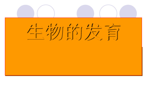 生物的发育ppt 人教版最新优选公开课件