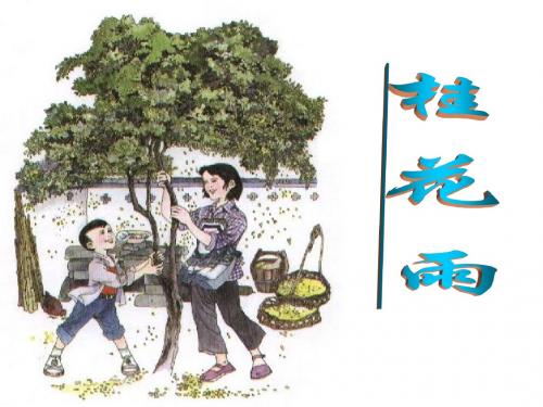 苏教版四年级上册语文《桂花雨》__ppt