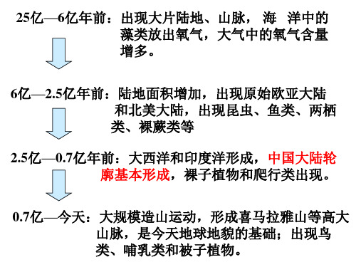 苏教版初中生物八年级上册 5.16.1 生命的诞生 课件(共19张PPT)