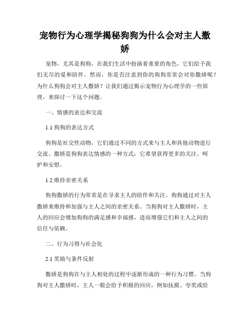 宠物行为心理学揭秘狗狗为什么会对主人撒娇