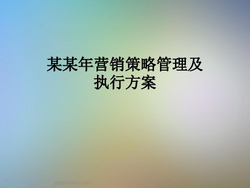某某年营销策略管理及执行方案