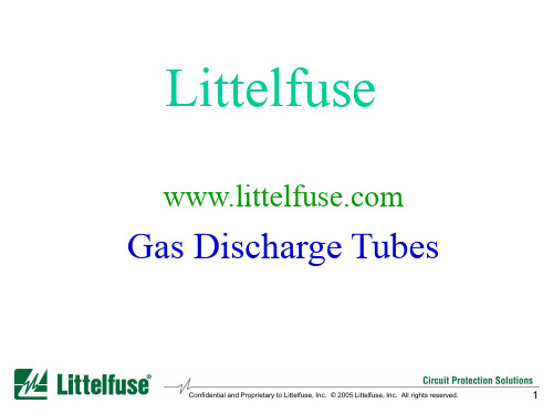 GDT(gas_discharge_tube)_Training[58P][860KB]