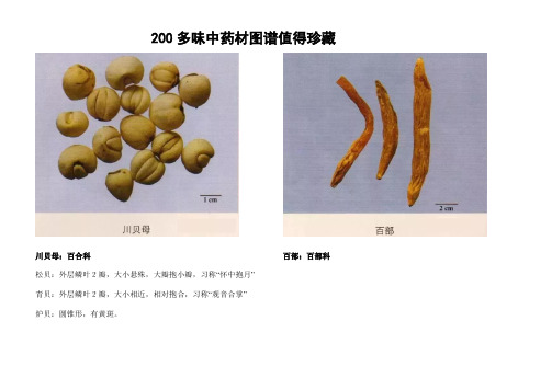 200多味中药材图谱值得珍藏