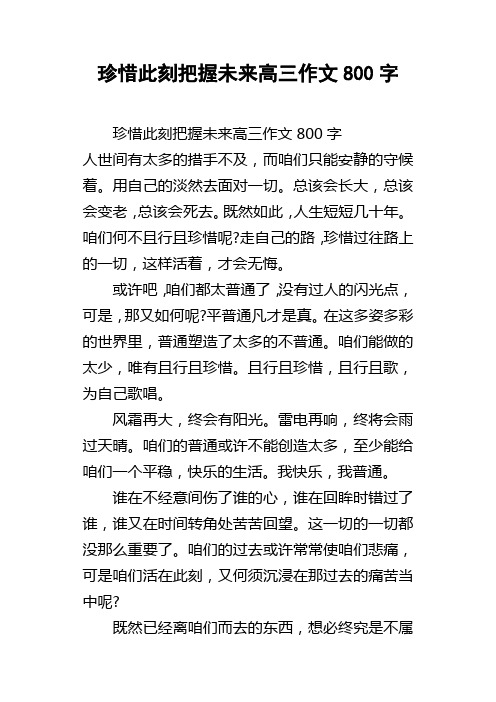 珍惜此刻把握未来高三作文800字