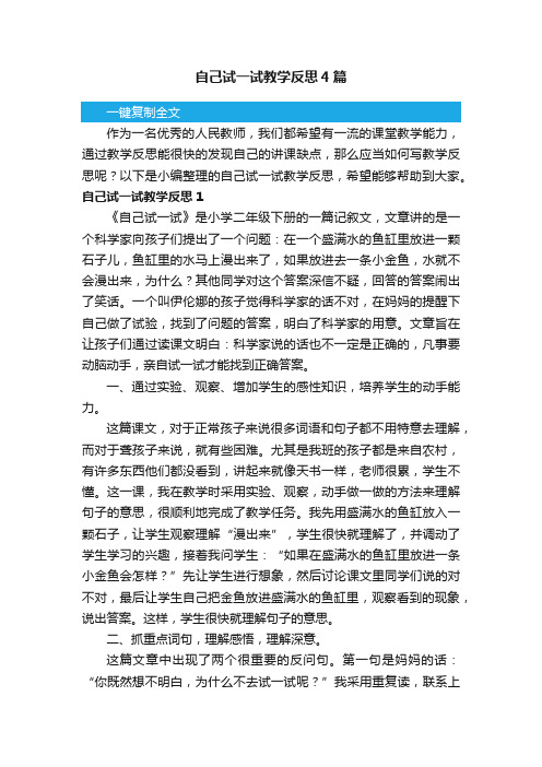 自己试一试教学反思4篇