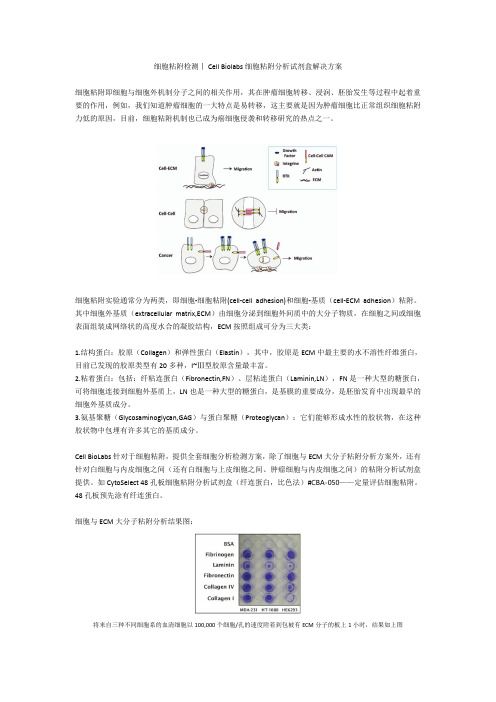 细胞粘附检测丨Cell Biolabs细胞粘附分析试剂盒解决方案