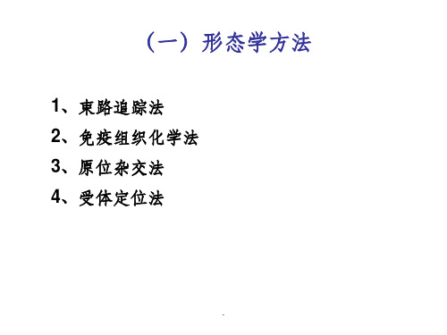 神经生物学的常用研究方法ppt课件