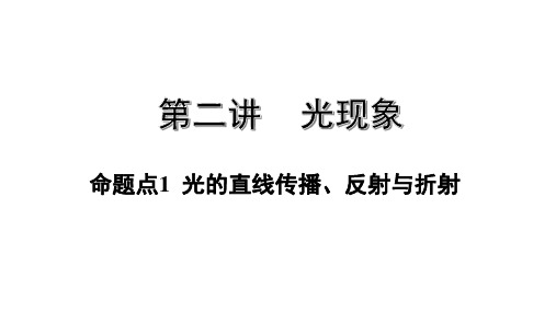 中考物理考点命题点1  光的直线传播、反射和折射