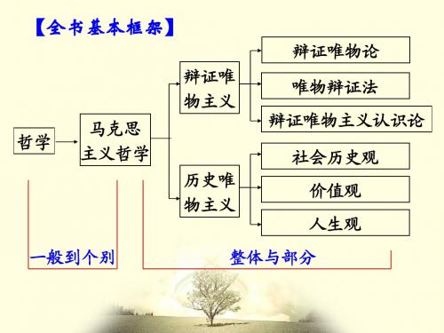 2015届《生活与哲学》第一单元_生活智慧与时代精神