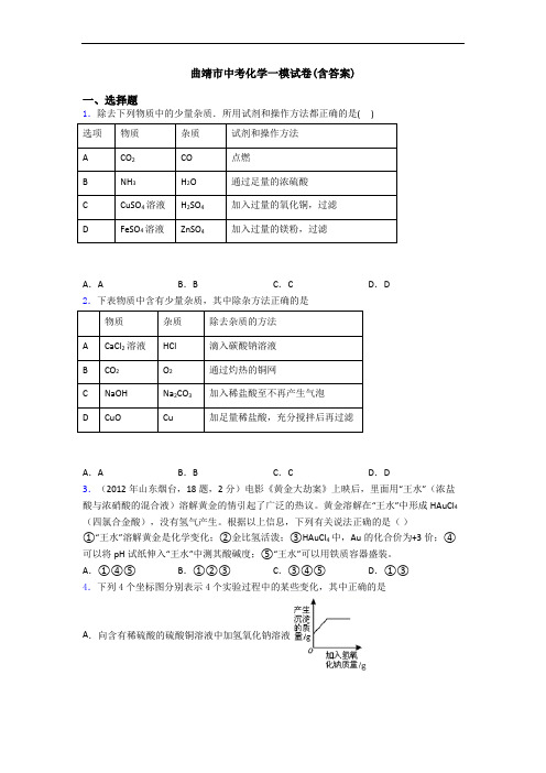 曲靖市中考化学一模试卷(含答案)