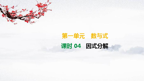 2019年广西柳州市中考数学总复习课件4：因式分解