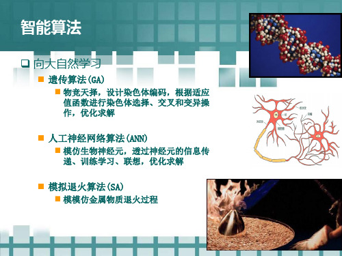 粒子群优化算法详细易懂-很多例子