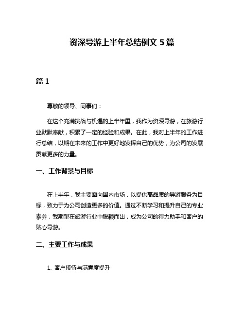 资深导游上半年总结例文5篇