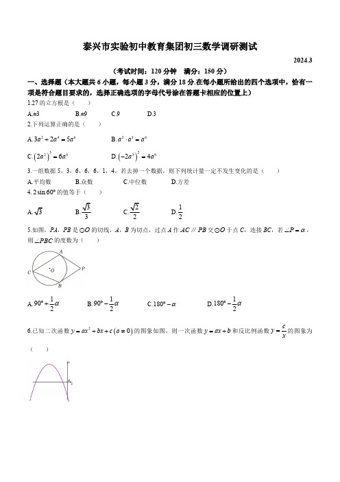 江苏省泰州市泰兴市实验初中教育集团2023-2024学年九年级下学期3月月考数学试题(含简略答案)