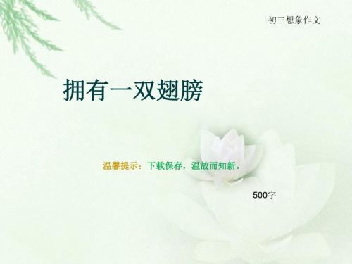 初三想象作文《拥有一双翅膀》500字(总8页PPT)